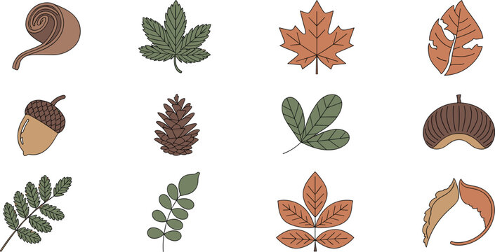 Collection of autumn leaf vectors featuring maple leaves acorns pine cones and forest foliage in warm brown and green tones for fall seasonal design