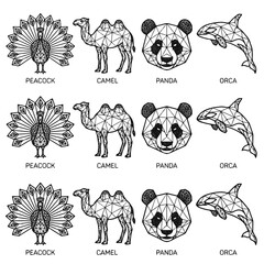 Geometric Pattern Animals Peacock Camel Panda Orca Collection Set © PAPA