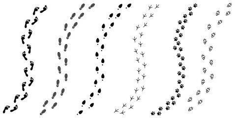 Set of vector trail footprints on transparent background: human shoe prints, barefoot steps, animal and bird tracks. Simple black silhouette icons. © north100