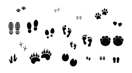 Fototapeta premium Set of isolated vector footprints of birds, humans and animals. Black flat silhouette tracks on white background. Simple wildlife trail icons.