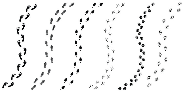 Set of vector trail footprints on transparent background: human shoe prints, barefoot steps, animal and bird tracks. Simple black silhouette icons.