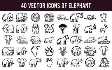 Fototapeta premium Majestic Elephants Graceful Herds in Action – Tusks Trunks Playful Moments in