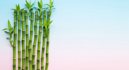 Obraz premium Slender green bamboo stalks arranged vertically against a soft pastel background, evoking a sense of tranquility and natural purity, pattern, woodsy, stalks