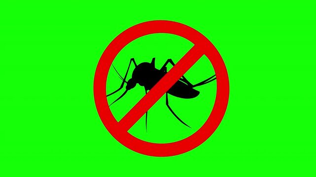 Mosquito Restriction Warning Symbol Animation with Insect Prohibited Sign