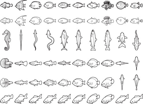 An assortment of hand-drawn, black-and-white illustrations featuring a variety of marine life, including fish, seahorses, and eels, presented in a grid format.
