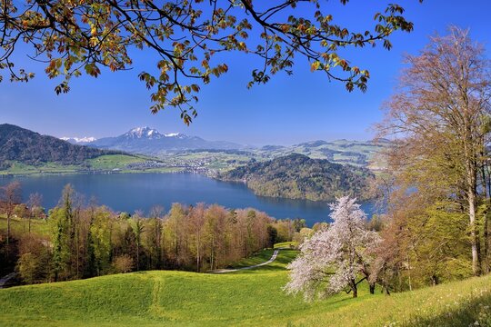 View of Lake Zug with Chiemen peninsula, behind it Mount Pilatus, Cantons Zug, Schwyz, Lucerne, Switzerland