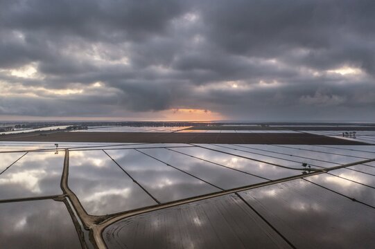 Flooded rice fields in May at daybreak, aerial view, drone shot, Ebro Delta Nature Reserve, Tarragona province, Catalonia, Spain