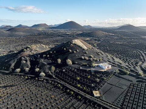 Typical drywall viticulture in volcanic landscape, on volcanic ash, lapilli, aerial view, vines, La Geria wine-growing region, Lanzarote, Canary Islands, Spain