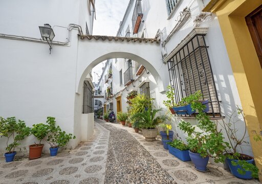 Alley decorated with flowers and plants with white houses, Calle Indiano, C&oacute;rdoba, Cordoba Province, Andalusia, Spain