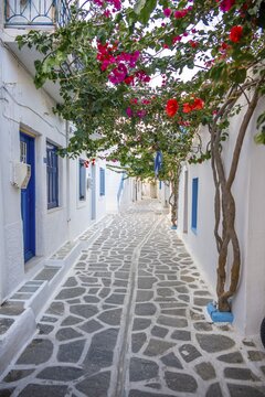 Alley with Cycladic houses, old town of Parikia, Paros, Cyclades, Greece