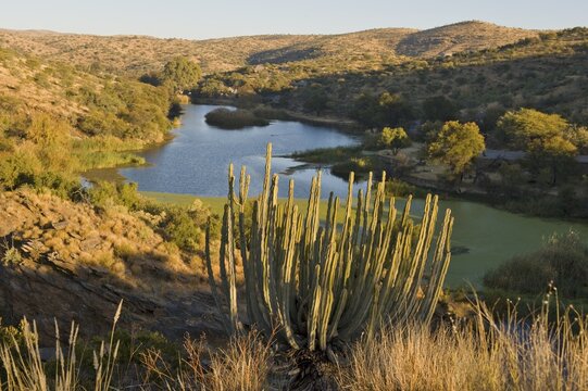 Augeigas Dam, Dan Viljoen National Park, Namibia, Africa