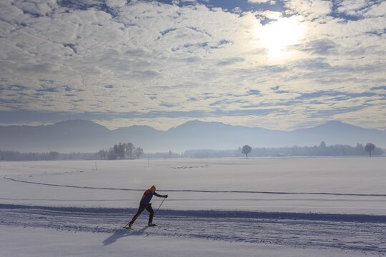 Cross-country skier, man, adult, on cross-country trail in front of mountains, snow, winter, T&ouml;lzer Land, Alpine foothills, Upper Bavaria, Bavaria, Germany