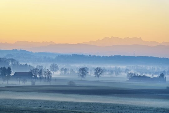 Farm, meadows and trees in the early mist, Reuss valley, Aristau, Canton Aargau