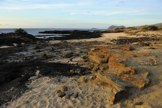 Evening mood at Puerto Egas Bay on Santiago Island, Galapagos Islands, Ecuador, South America