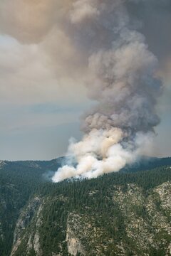 Smoke cloud of a forest fire, Yosemite National Park, California, USA