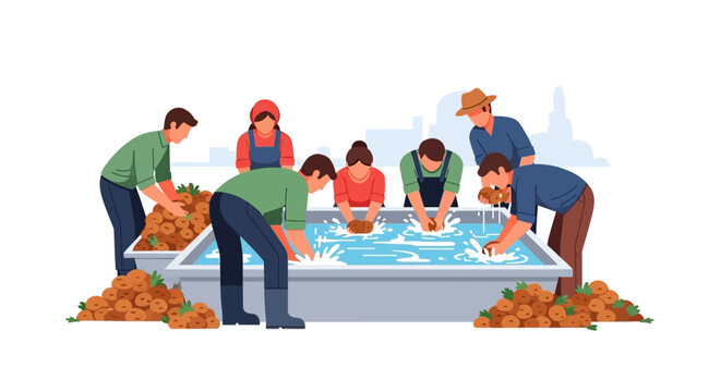 Group of farmers washing freshly harvested carrots in a large water trough.