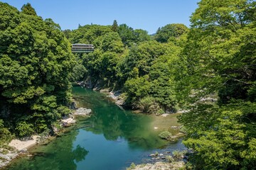 Fototapeta premium 新城市、牛渕橋から眺める長篠城と鉄橋を渡る特急伊那路