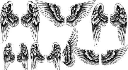 Detailed wings vector illustration, decorative feather artwork collection, stylized angel and bird wing designs, symbolic flight concept graphic © MstHena
