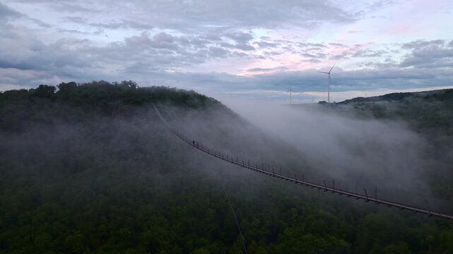 Exploring the bridge in Geierlay, Germany with fog and nature in the backdrop