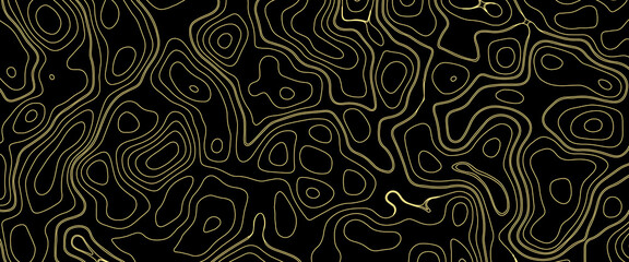 Fototapeta premium Abstract pattern luxury dark black with gold. premium background patterns