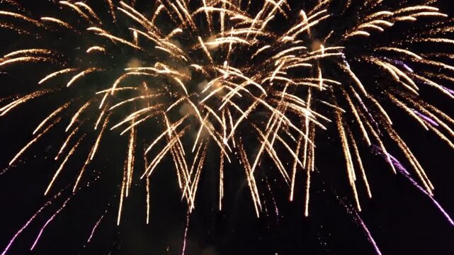 Firework Burst Display Over Dark Night Sky