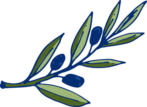 Olive branch in mediterranean style