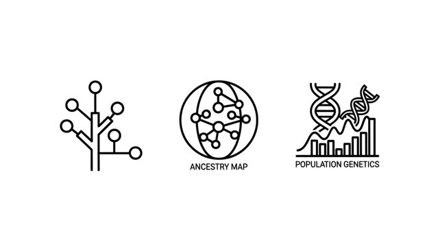 Genetics and ancestry icons: population genetics ancestry map data tree with DNA helix family tree white background genetics genealogy research population ancestry evolution biological