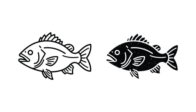 Bass fish vector illustration icon set in line and solid silhouette styles for fishing and seafood branding and restaurant menu design or outdoor sporting goods store logo graphics and symbols