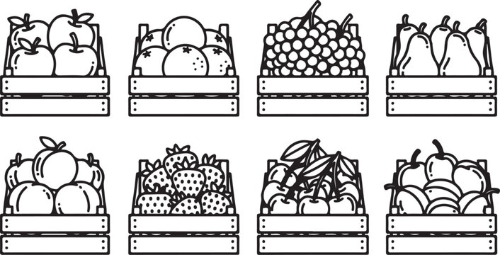 Hand drawn line art illustrations of various animal heads and faces Vector