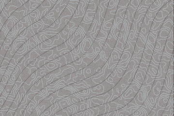 Gray Topographic Contour Background with Abstract Terrain Line Pattern © lilaaco