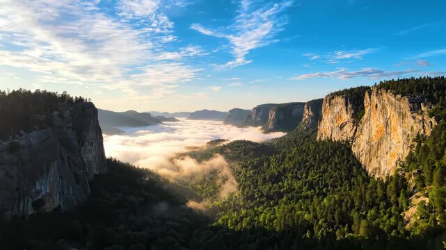 A scenic view of a mountain range with trees and fog rolling in, under a blue sky with clouds