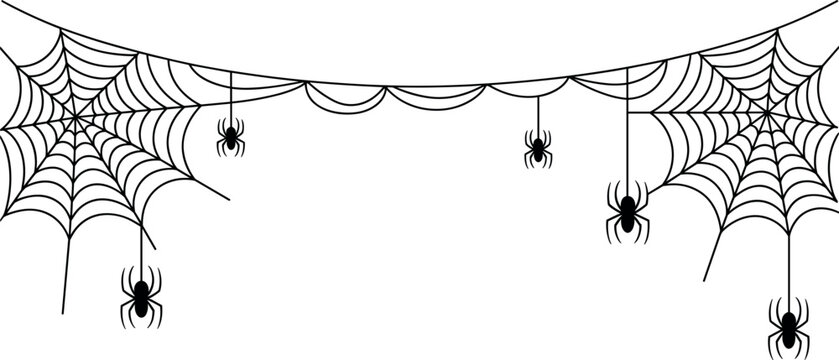 Halloween spider web border with hanging black spiders and cobwebs silhouette isolated on white background for spooky holiday decorations