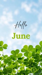 Fototapeta premium Clover growth greeting nature image sunny day close-up hello june theme
