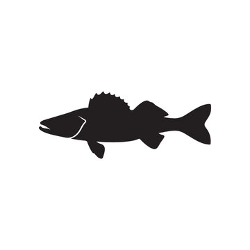 Walleye fish silhouette icon vector flat illustration design.Adobe Illustrator Artwork