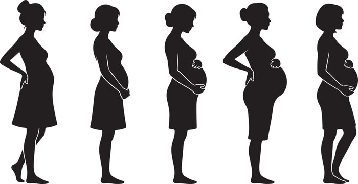 Five pregnant women silhouettes showing different stages of pregnancy, from early to late term, in black dress and heels, standing in various poses.