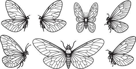Black and white butterfly wings patterns vector design Vector © mahafuza