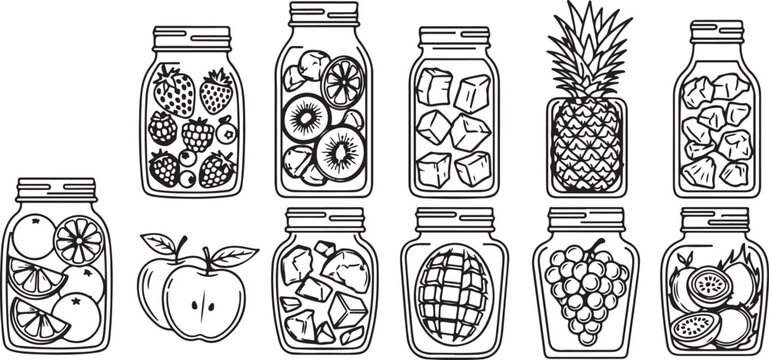 Set of vintage botanical apothecary jars with herbs and flowers illustration Vector