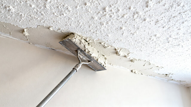 Professional removing old, damaged peeling paint from a ceiling with a scraper tool during a home renovation project. Preparing the surface for repainting and repair work
