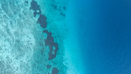 Aerial View of Turquoise Ocean Water and Coral Reef © Palugada