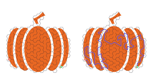 Orange pumpkin with geometric pattern. Pumpkin split reveals internal structure. Purple lines highlight texture and form. Ideal for design, seasonal, or educational projects