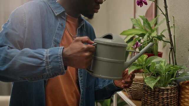 Tilt up slowmo shot of young African American man watering houseplants in wicker pots using small watering can in cozy modern living room in daytime