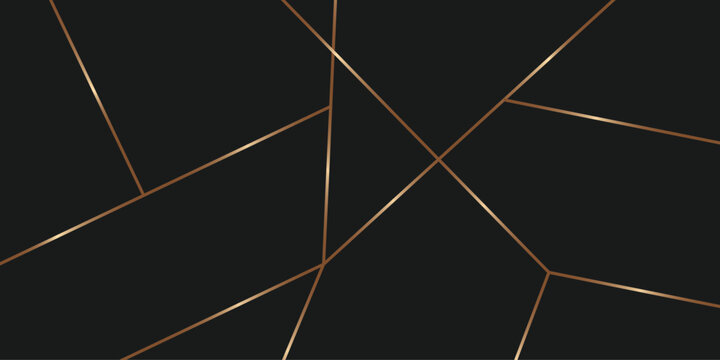Abstract geometric background with thin copper lines on a dark black surface modern minimalist pattern for luxury design Vector illustration