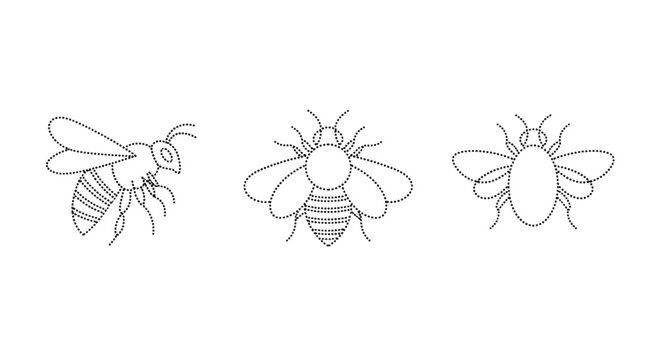 Honey bee wildlife border pattern on white background