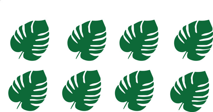 Monstera Leaf" Images  Browse 31,664 Stock Photos, Vectors, and Video |  Adobe Stock