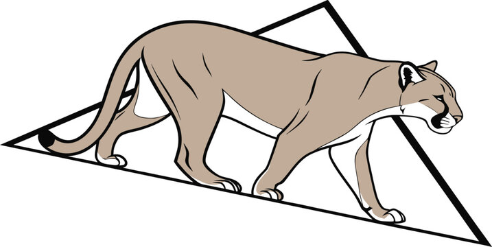 Vector illustration of a mountain lion or cougar walking inside a triangular frame