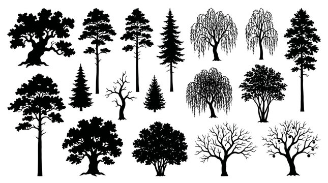 Tree silhouettes collection black and white