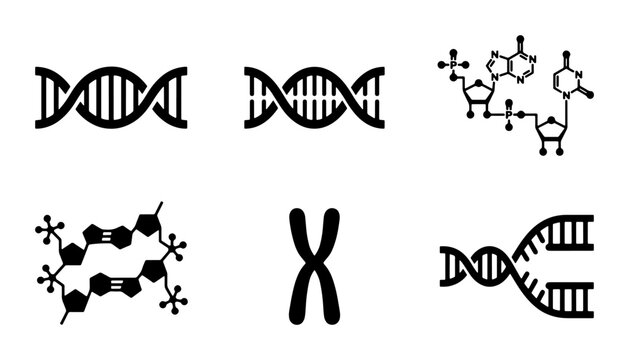 DNA Helix and Chromosome Icons, Genetic Science Molecular Structure Vector Graphics, Biology Research Symbols