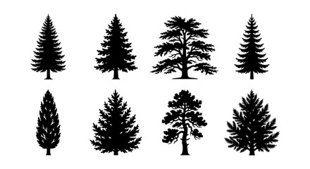 Coniferous Tree Silhouettes, Evergreen Forest Icons, Pine and Fir Vector Graphics, Nature Elements Set © Mitu