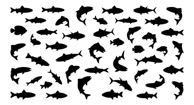 Diverse Fish Silhouettes Collection, Aquatic Life Vector Icons, Seafood and Fishing Graphics, Marine Animal Shapes