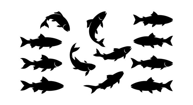 Salmon Fish Silhouettes, Aquatic Animal Vector Pack, Seafood and Fishing Icon Collection, Black and White Marine Life